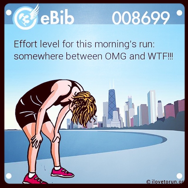 ChicagoMarathonTrainingRecap14