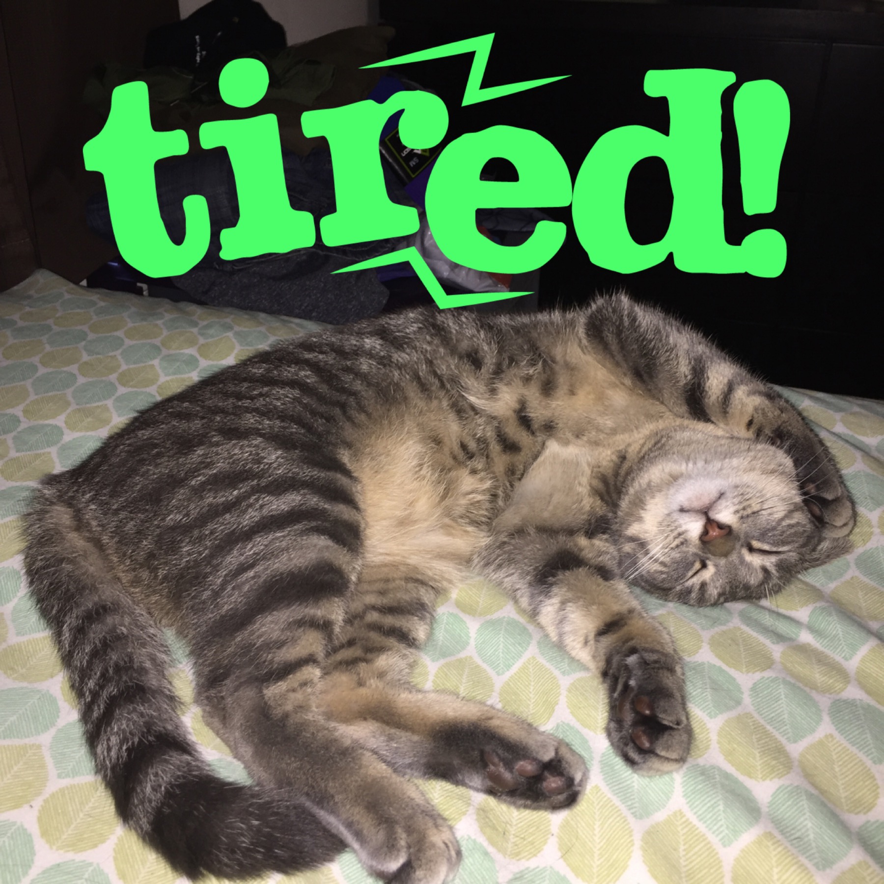 2016ChicagoMarathonRecap2