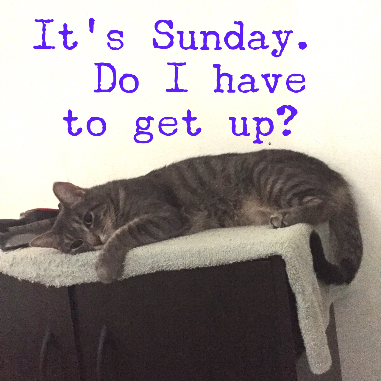 2016ChicagoMarathonRecap33