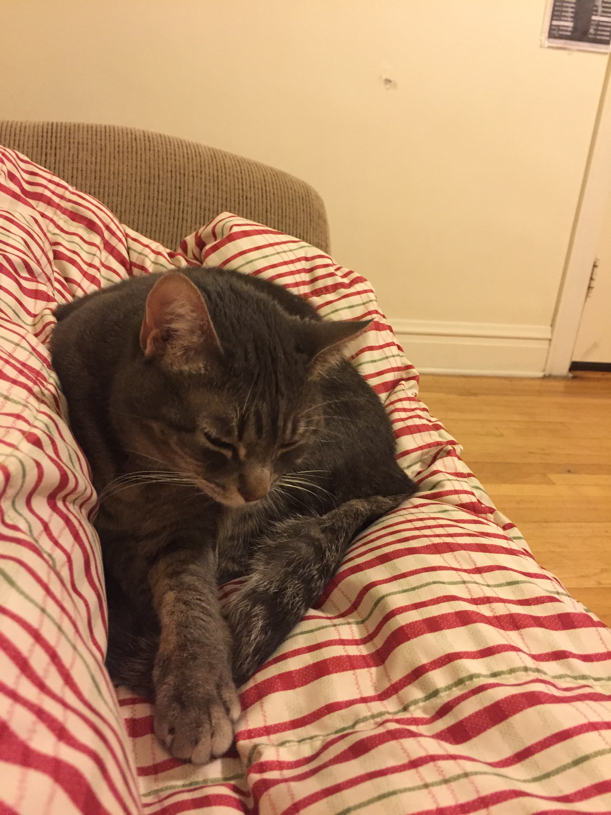 Rnrdctrainingrecap39