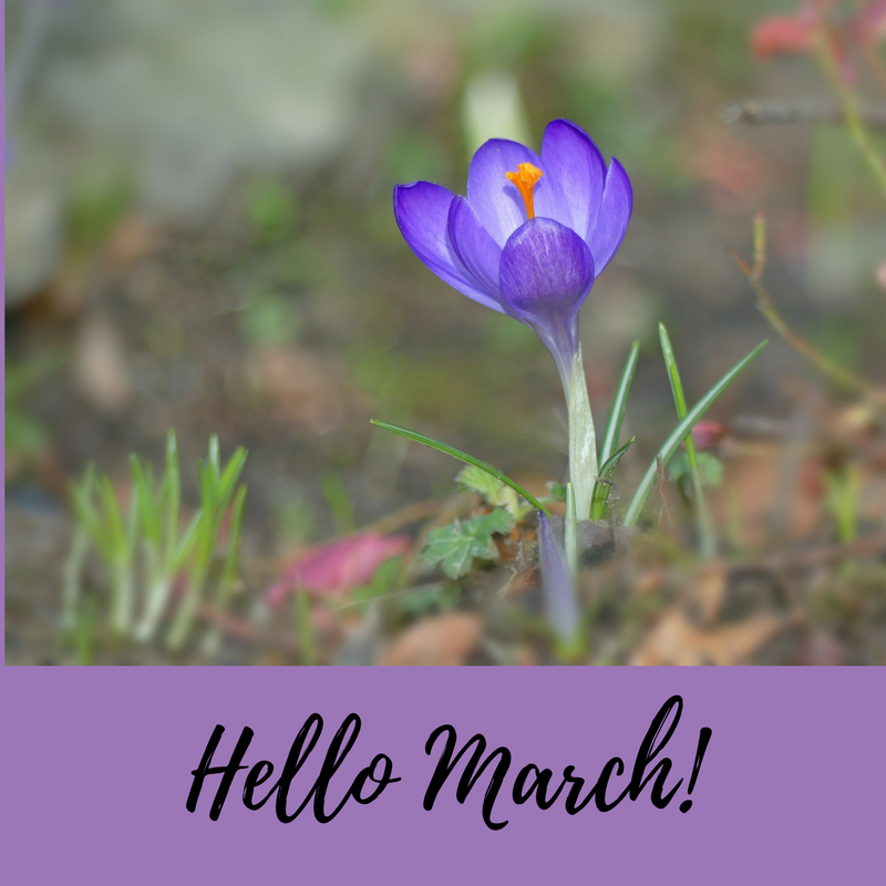 Hello March