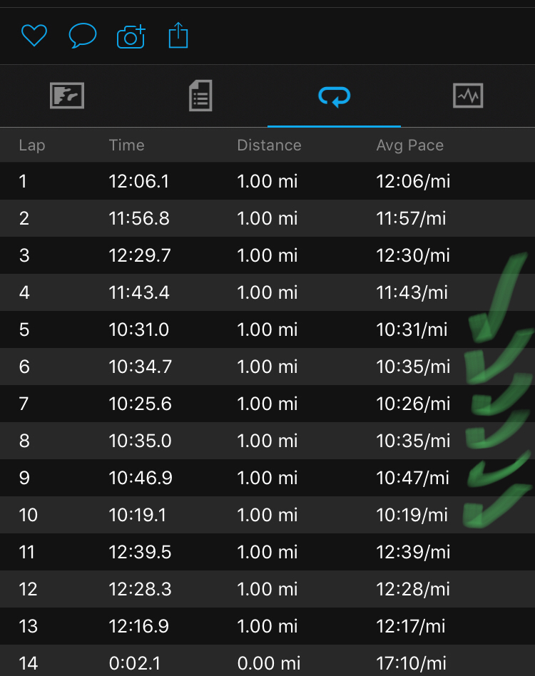 Illinois Marathon-160