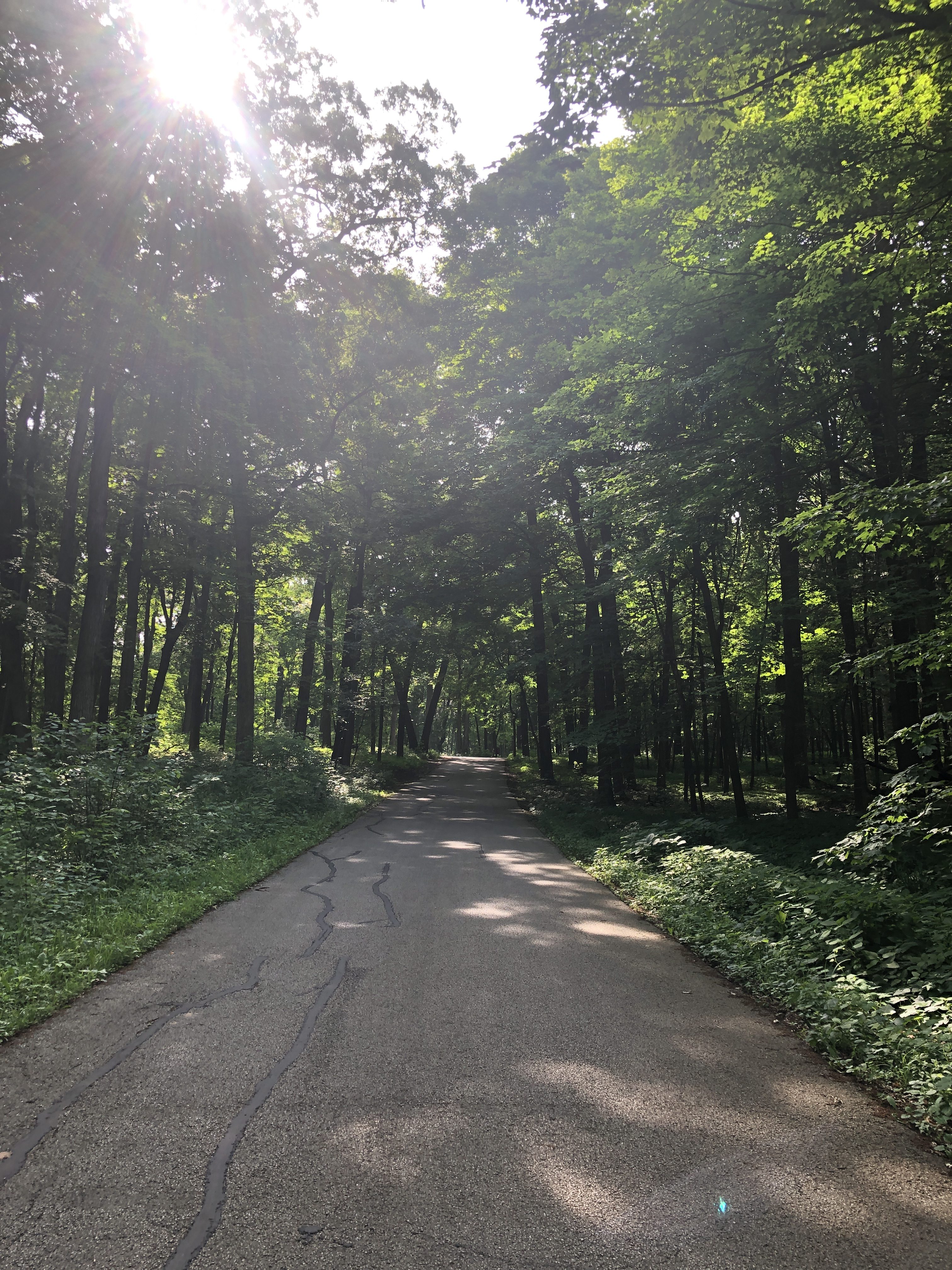 Morton Arboretum-11