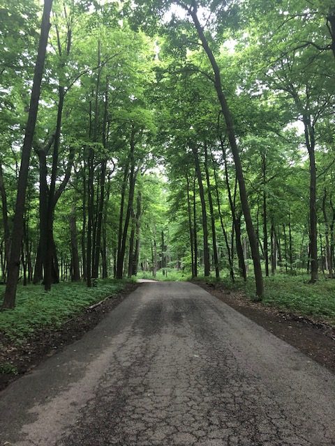 Morton Arboretum-5