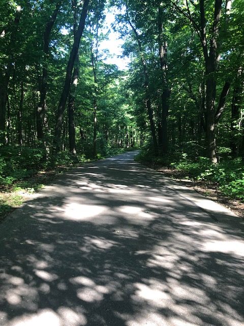 Morton Arboretum-8