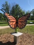 Morton Arboretum