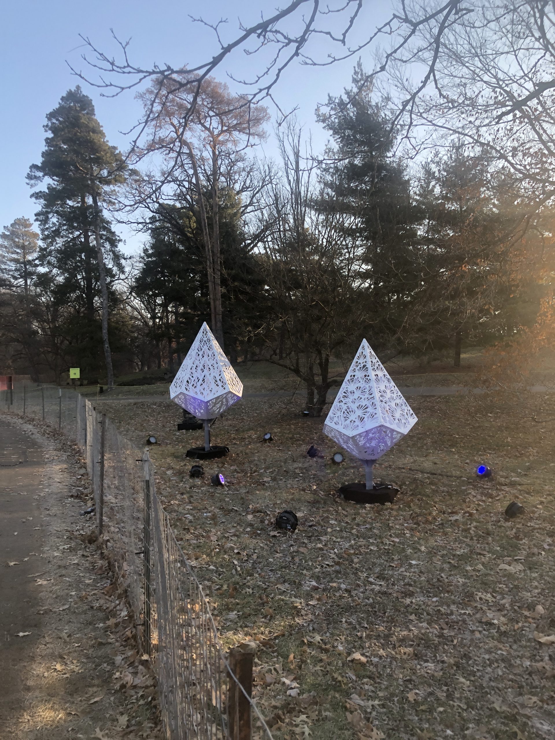 Morton Arboretum-15