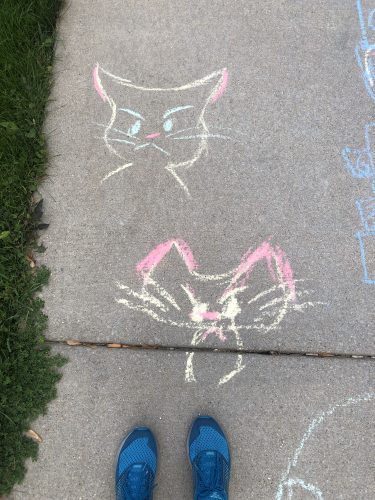 Cat drawing
