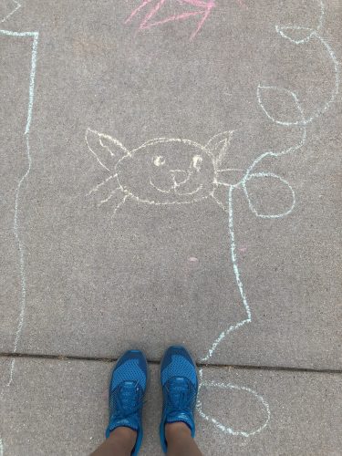 Cat drawing