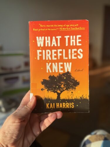 What The Fireflies Knew